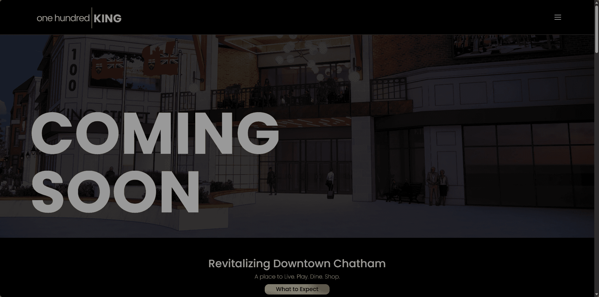 One Hundred King cover image